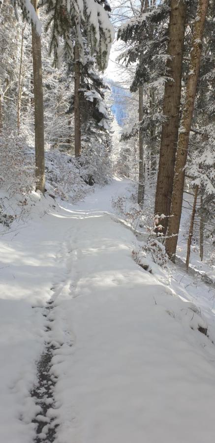 Apartment Sonnenbuechel Wald am Arlberg Ngoại thất bức ảnh